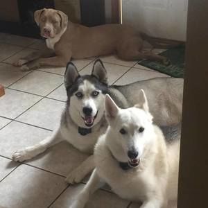 Meet your Posher, Margaret